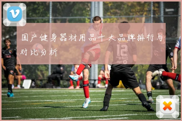 国产健身器材用品十大品牌排行与对比分析