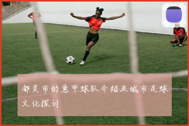 都灵市的意甲球队介绍及城市足球文化探讨