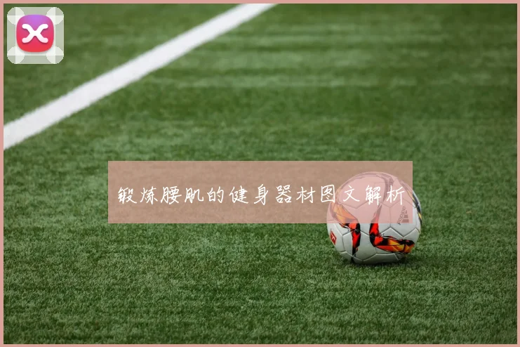 锻炼腰肌的健身器材图文解析