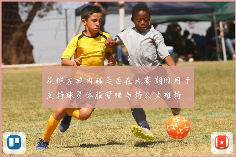 足球左旋肉碱是否在大赛期间用于支持球员体脂管理与持久力维持